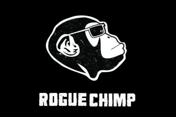 Rogue Chimp — Ensemble (Jazz Fusion) performing at the Scranton Jazz Festival